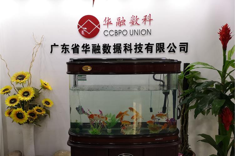 广东省华融数据科技 以企业数据开发驱动数字化转型的实践与展望